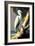 Coastal Egret on the tree-Vivienne Dupont-Framed Art Print