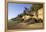 Coastal Erosion-Paul Rapson-Framed Premier Image Canvas