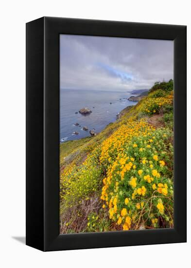 Coastal Flowerscape, Carmel-Vincent James-Framed Premier Image Canvas