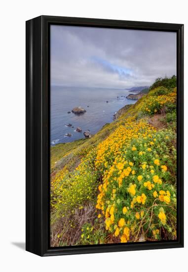 Coastal Flowerscape, Carmel-Vincent James-Framed Premier Image Canvas
