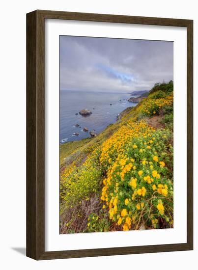 Coastal Flowerscape, Carmel-Vincent James-Framed Photographic Print