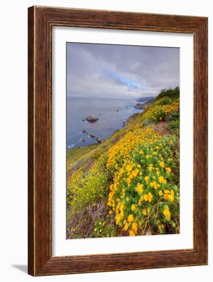 Coastal Flowerscape, Carmel-Vincent James-Framed Photographic Print