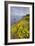 Coastal Flowerscape, Carmel-Vincent James-Framed Photographic Print