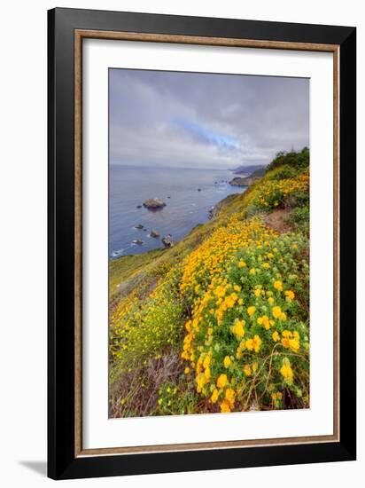 Coastal Flowerscape, Carmel-Vincent James-Framed Photographic Print