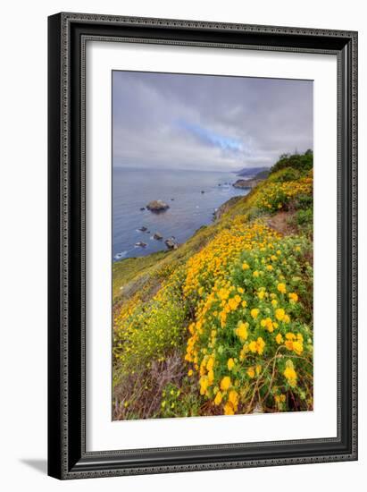 Coastal Flowerscape, Carmel-Vincent James-Framed Photographic Print
