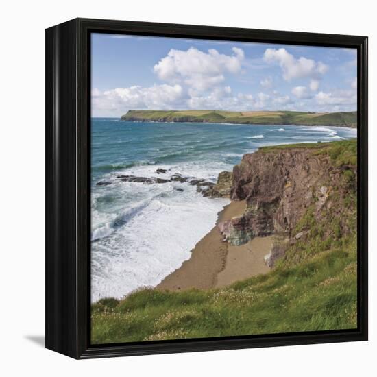 Coastal Footpath Between Haymer Bay Rock and Polzeath, Cornwall, England, United Kingdom, Europe-David Hughes-Framed Premier Image Canvas