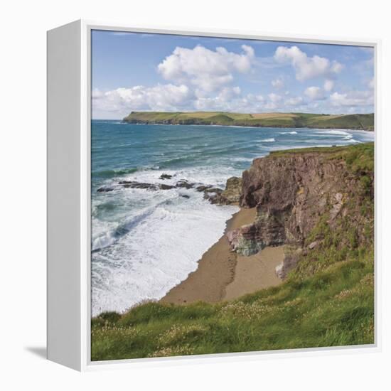 Coastal Footpath Between Haymer Bay Rock and Polzeath, Cornwall, England, United Kingdom, Europe-David Hughes-Framed Premier Image Canvas
