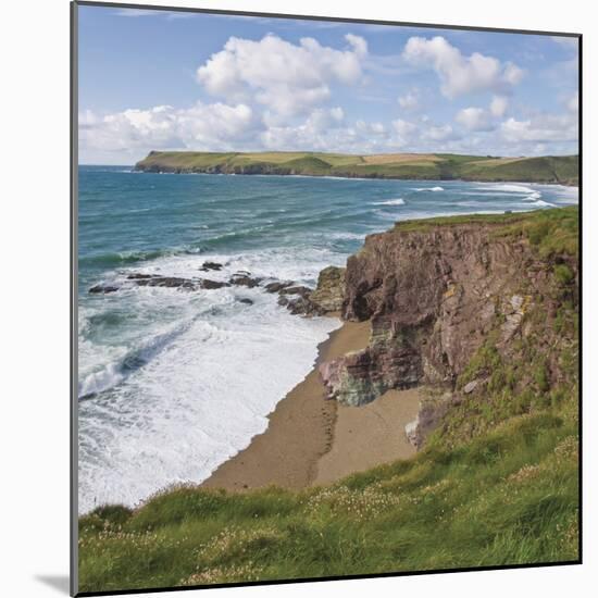 Coastal Footpath Between Haymer Bay Rock and Polzeath, Cornwall, England, United Kingdom, Europe-David Hughes-Mounted Photographic Print