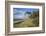 Coastal Forest on the Western Beach of Darss Peninsula-Uwe Steffens-Framed Photographic Print