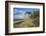 Coastal Forest on the Western Beach of Darss Peninsula-Uwe Steffens-Framed Photographic Print