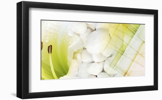 Coastal Garden II-null-Framed Art Print