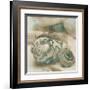 Coastal Gems I-John Seba-Framed Giclee Print