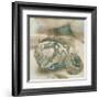 Coastal Gems I-John Seba-Framed Giclee Print
