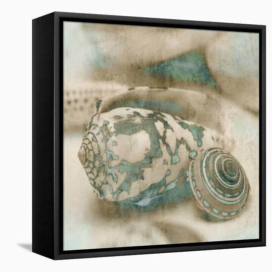 Coastal Gems I-John Seba-Framed Stretched Canvas