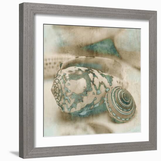 Coastal Gems I-John Seba-Framed Premium Giclee Print