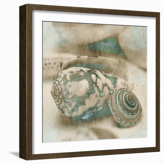 Coastal Gems I-John Seba-Framed Premium Giclee Print