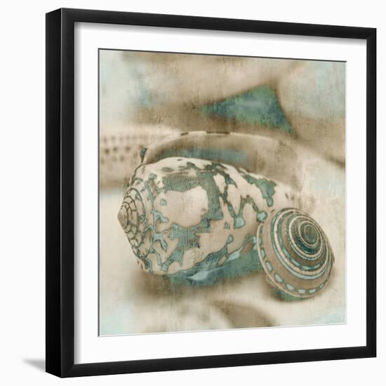 Coastal Gems I-John Seba-Framed Premium Giclee Print