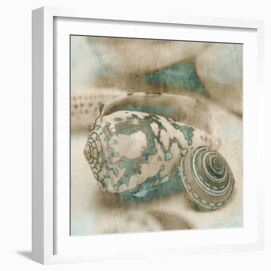 Coastal Gems I-John Seba-Framed Premium Giclee Print