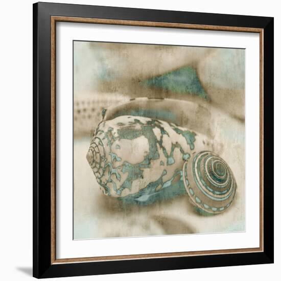 Coastal Gems I-John Seba-Framed Art Print