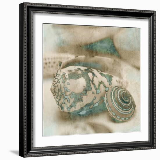 Coastal Gems I-John Seba-Framed Art Print