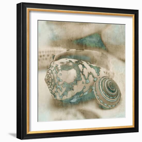 Coastal Gems I-John Seba-Framed Art Print