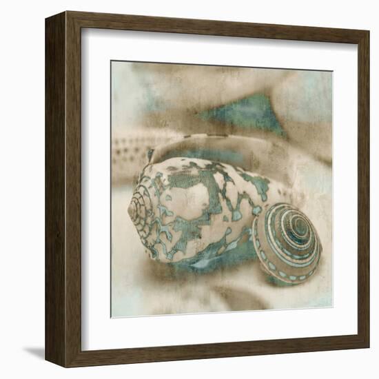 Coastal Gems I-John Seba-Framed Art Print