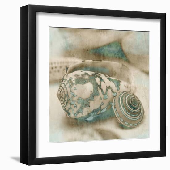 Coastal Gems I-John Seba-Framed Art Print