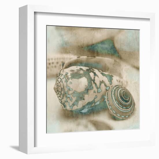 Coastal Gems I-John Seba-Framed Art Print