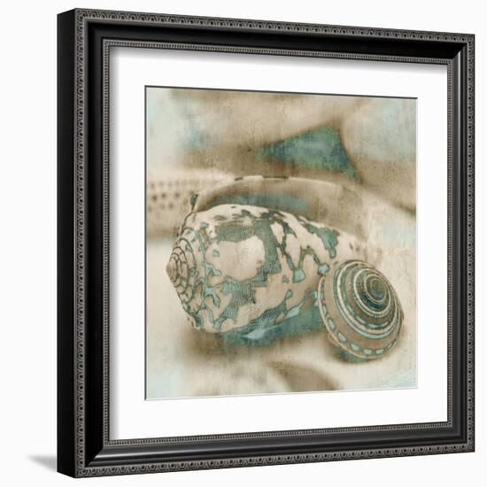 Coastal Gems I-John Seba-Framed Art Print