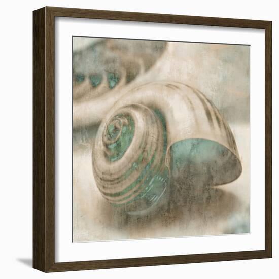 Coastal Gems II-John Seba-Framed Art Print