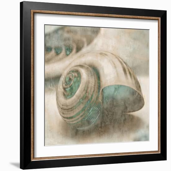 Coastal Gems II-John Seba-Framed Art Print