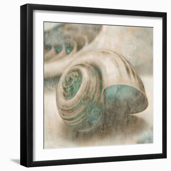 Coastal Gems II-John Seba-Framed Art Print