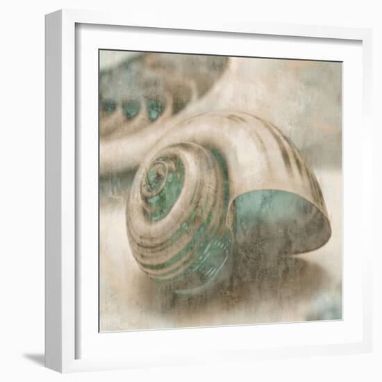 Coastal Gems II-John Seba-Framed Art Print