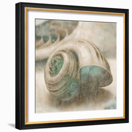 Coastal Gems II-John Seba-Framed Art Print