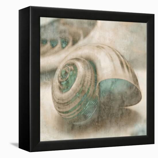 Coastal Gems II-John Seba-Framed Stretched Canvas