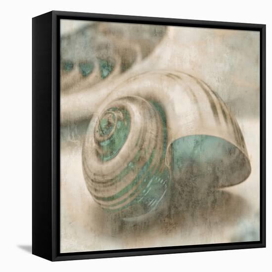 Coastal Gems II-John Seba-Framed Stretched Canvas