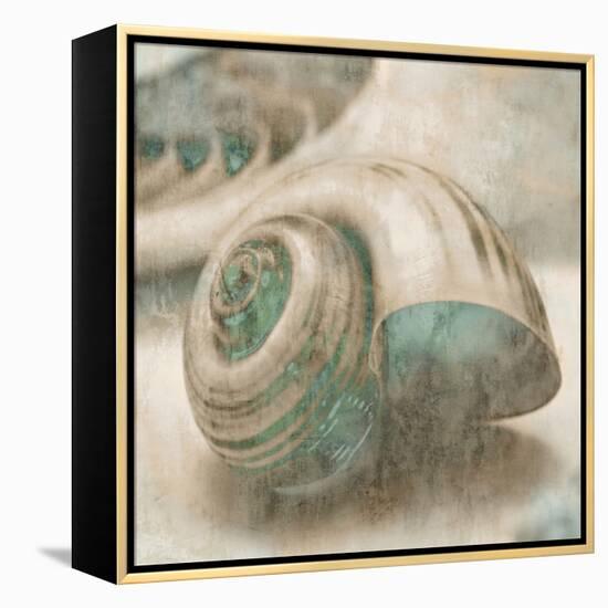 Coastal Gems II-John Seba-Framed Stretched Canvas