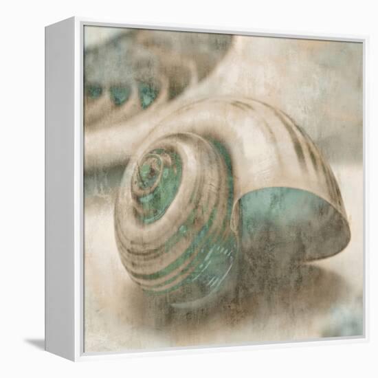 Coastal Gems II-John Seba-Framed Stretched Canvas