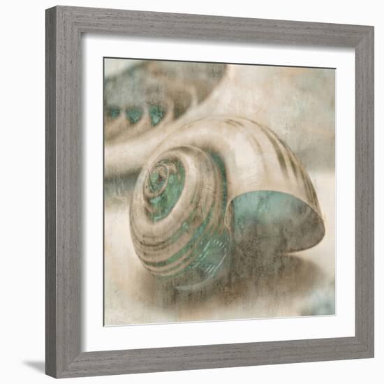 Coastal Gems II-John Seba-Framed Premium Giclee Print