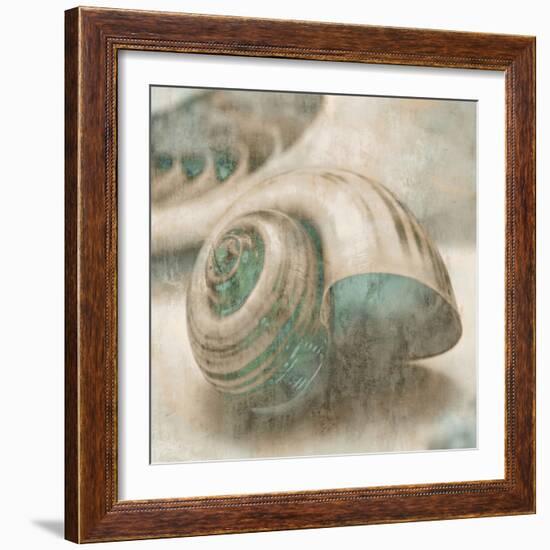 Coastal Gems II-John Seba-Framed Premium Giclee Print