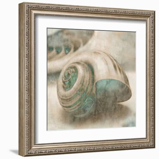 Coastal Gems II-John Seba-Framed Art Print