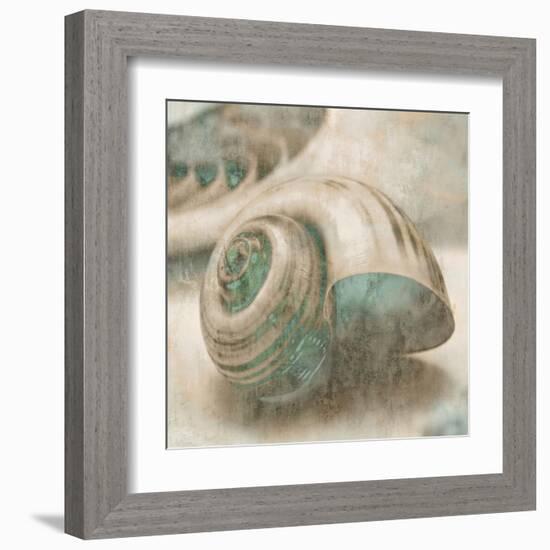 Coastal Gems II-John Seba-Framed Art Print