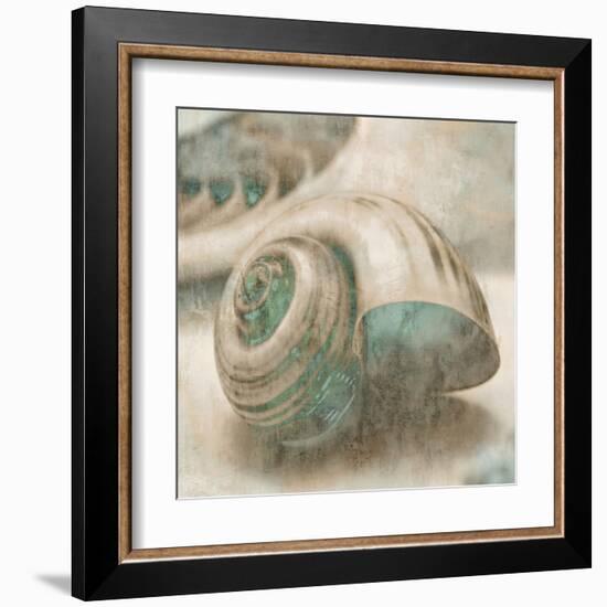 Coastal Gems II-John Seba-Framed Art Print