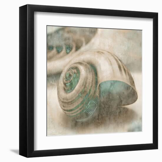 Coastal Gems II-John Seba-Framed Art Print