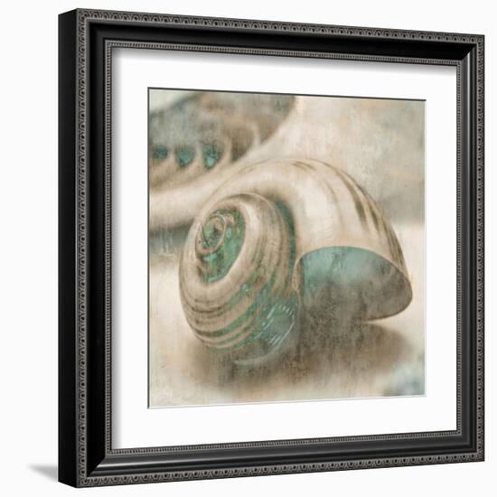 Coastal Gems II-John Seba-Framed Art Print