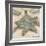 Coastal Gems III-John Seba-Framed Giclee Print