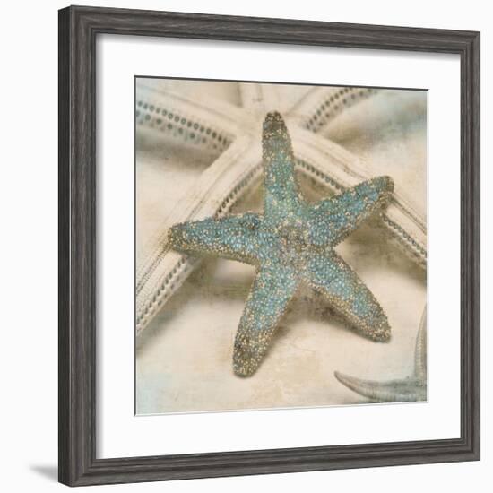 Coastal Gems III-John Seba-Framed Giclee Print