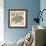 Coastal Gems III-John Seba-Framed Giclee Print displayed on a wall