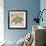 Coastal Gems III-John Seba-Framed Giclee Print displayed on a wall