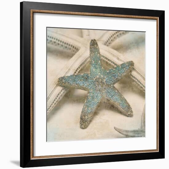 Coastal Gems III-John Seba-Framed Giclee Print